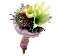 Lilies