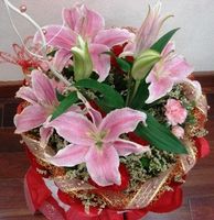 Lilies