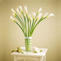  lilies