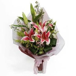 Lilies