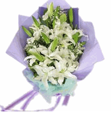 Lilies 