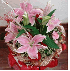 Lilies