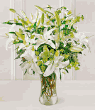 Lilies and More