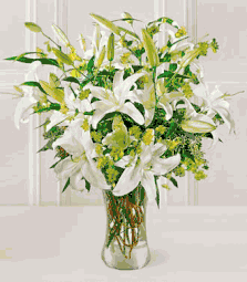 Lilies and More