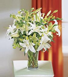Lilies and More 