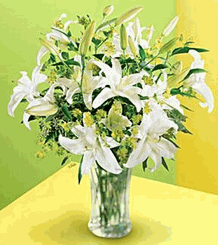 Lilies and More 