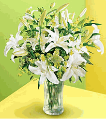 Lilies and More