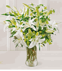Lilies and More