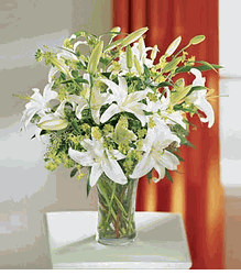 Lilies and More 
