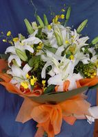 Lily and Orchids