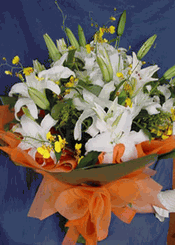 Lily and Orchids
