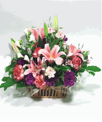  Lily Basket