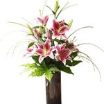 Lily In Vase 