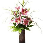 Lily In Vase 