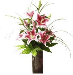 Lily In Vase 