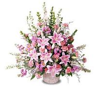 Lily Mixed Basket