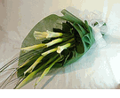 Lily mixed Bouquet