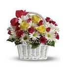 San Jose, California (CA) Florists, Flower Shop Lima Family Erickson 