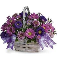  Santa Clara, California (CA) Florists, Flower Shop Lima Santa Clara Fun