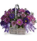  Santa Clara, California (CA) Florists, Flower Shop Lima Santa Clara Fun