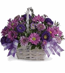  Santa Clara, California (CA) Florists, Flower Shop Lima Santa Clara Fun