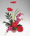 Linear arrangement of bright flowers