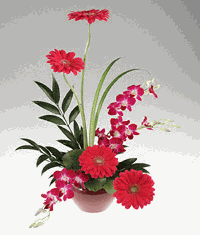 Linear arrangement of bright flowers