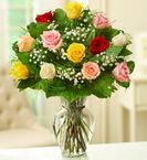 Long Stem Assorted Roses
