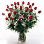 Long-stem premium rose 