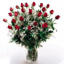 Long-stem premium rose 