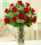  Long Stem Red Roses