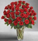 Long Stem Red Roses Valentine Day