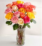 Long Stem Roses