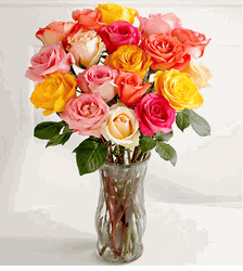 Long Stem Roses