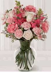Love In Bloom