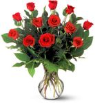 Love  & Romance A Dozen Premium Red Roses