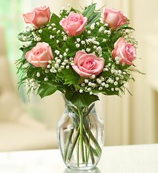 Loves Embrace Pink Roses 