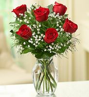 Love's Embrace Roses 