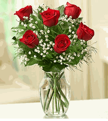 Love's Embrace Roses 