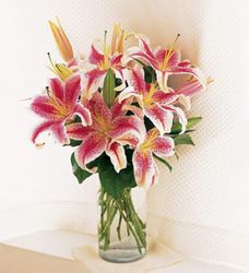 Lovely Lilies