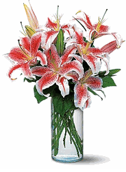 Lovely Lilies