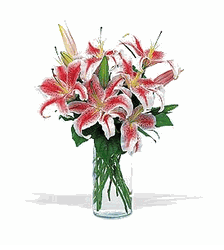 Lovely Lilies