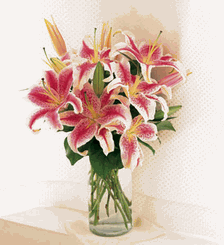 Lovely Lilies