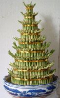 Lucky Bamboo 8 layers