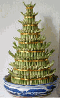 Lucky Bamboo 8 layers
