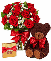 Luxury One Dozen Red Roses Bundle