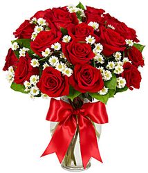 Luxury Two Dozen Red Roses