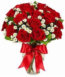 Luxury Two Dozen Red Roses