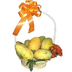  Mango Furits