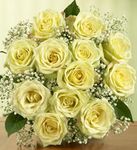 March's Rose 